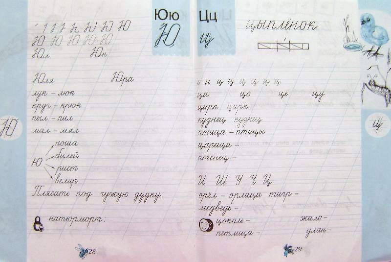 чудо прописи 1 класс ответы 3 часть 22 страница